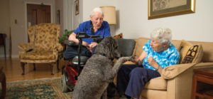 A senior man and woman in their apartment with a large black poodle