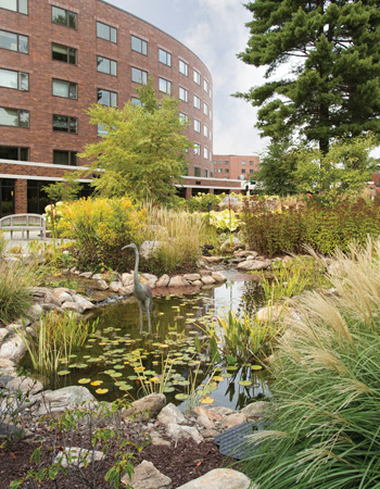 Whitney Center's beautiful lily pad pond, featuring a small statue of a crane