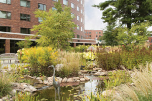 Whitney Center's beautiful lily pad pond, featuring a small statue of a crane