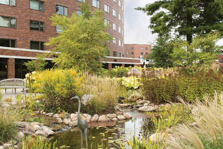 Whitney Center's beautiful lily pad pond, featuring a small statue of a crane