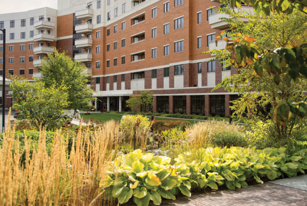 Landscaped area outside the Whitney Center building