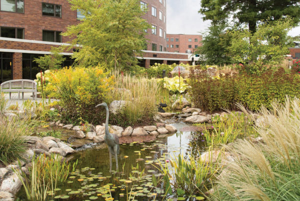 Whitney Center's beautiful lily pad pond, featuring a small statue of a crane