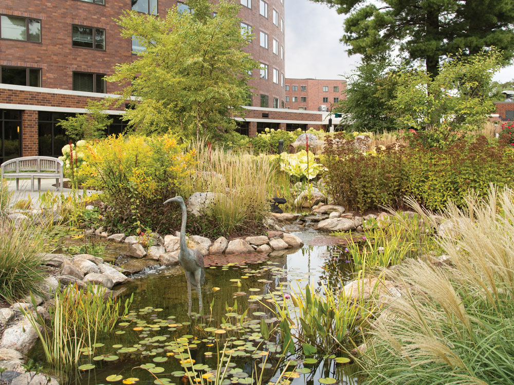 Whitney Center's beautiful lily pad pond, featuring a small statue of a crane