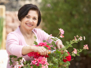 A middle-aged woman in a pink sweater smiles as she prunes a rose bush