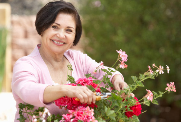 A middle-aged woman in a pink sweater smiles as she prunes a rose bush